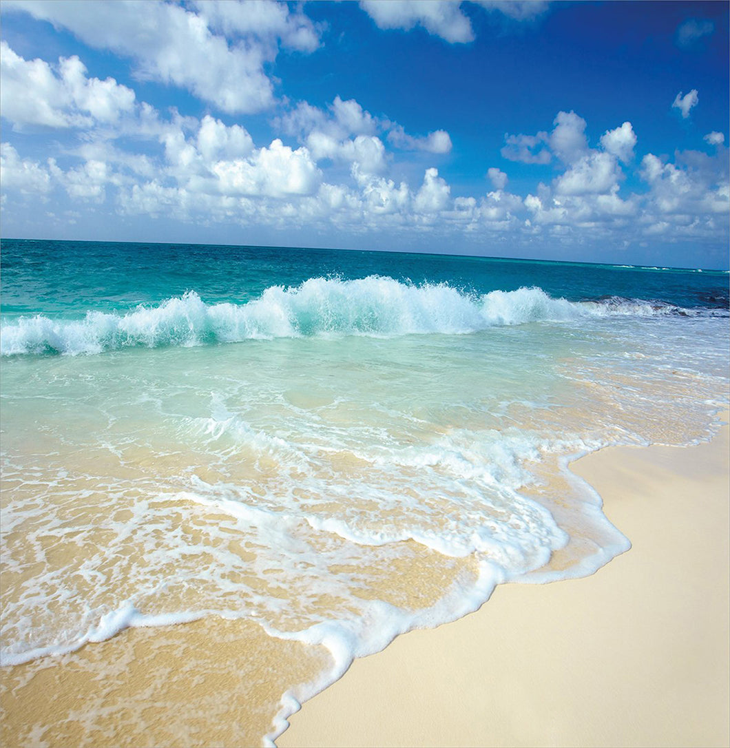 Office / Back Pain Set: Complete 3-Piece Ergonomic Support System for Desk Workers