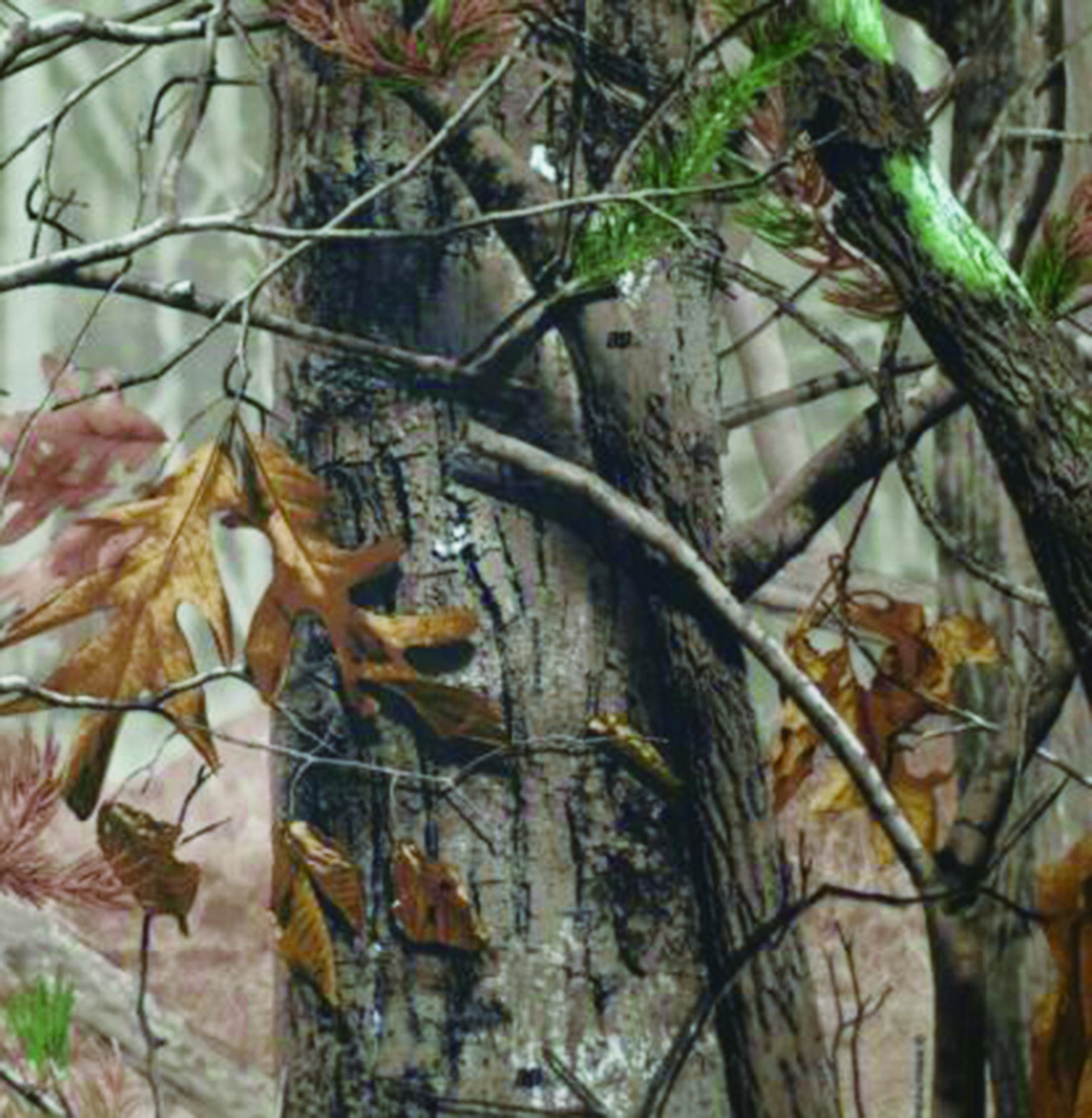 Office / Back Pain Set: Complete 3-Piece Ergonomic Support System for Desk Workers