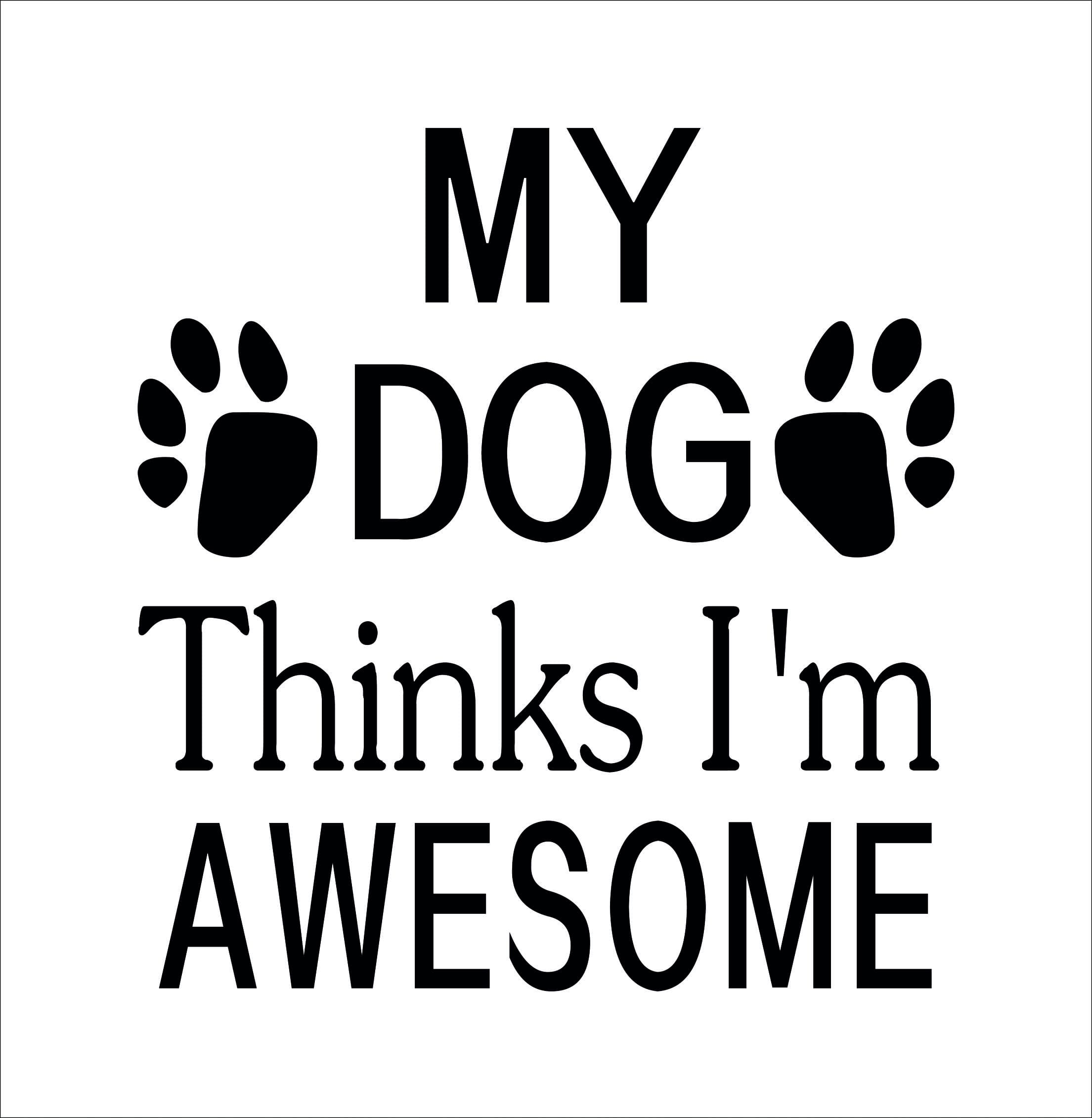 Office / Back Pain Set: Complete 3-Piece Ergonomic Support System for Desk Workers