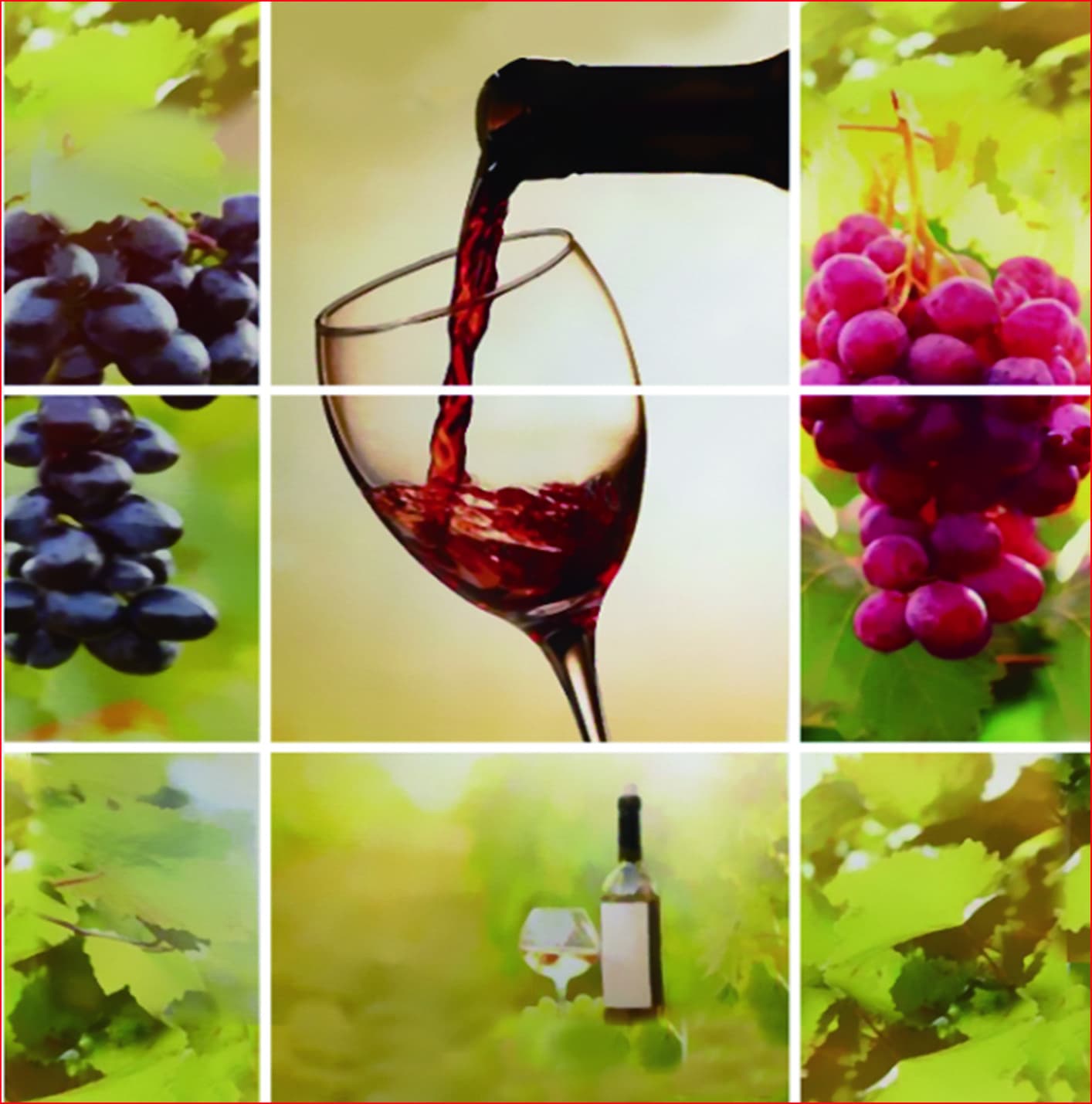 Office / Back Pain Set: Complete 3-Piece Ergonomic Support System for Desk Workers